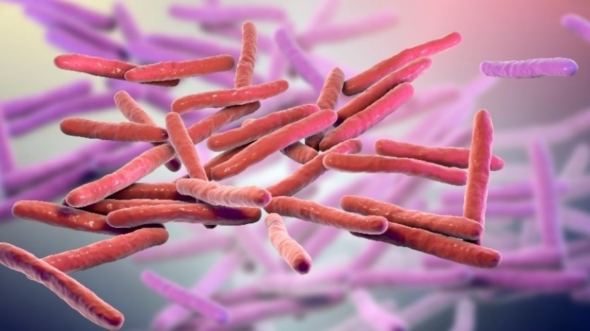 Τρισδιάστατη απεικόνιση του μικρόκοσμου Mycobacterium leprae (βακτήρια λέπρας)