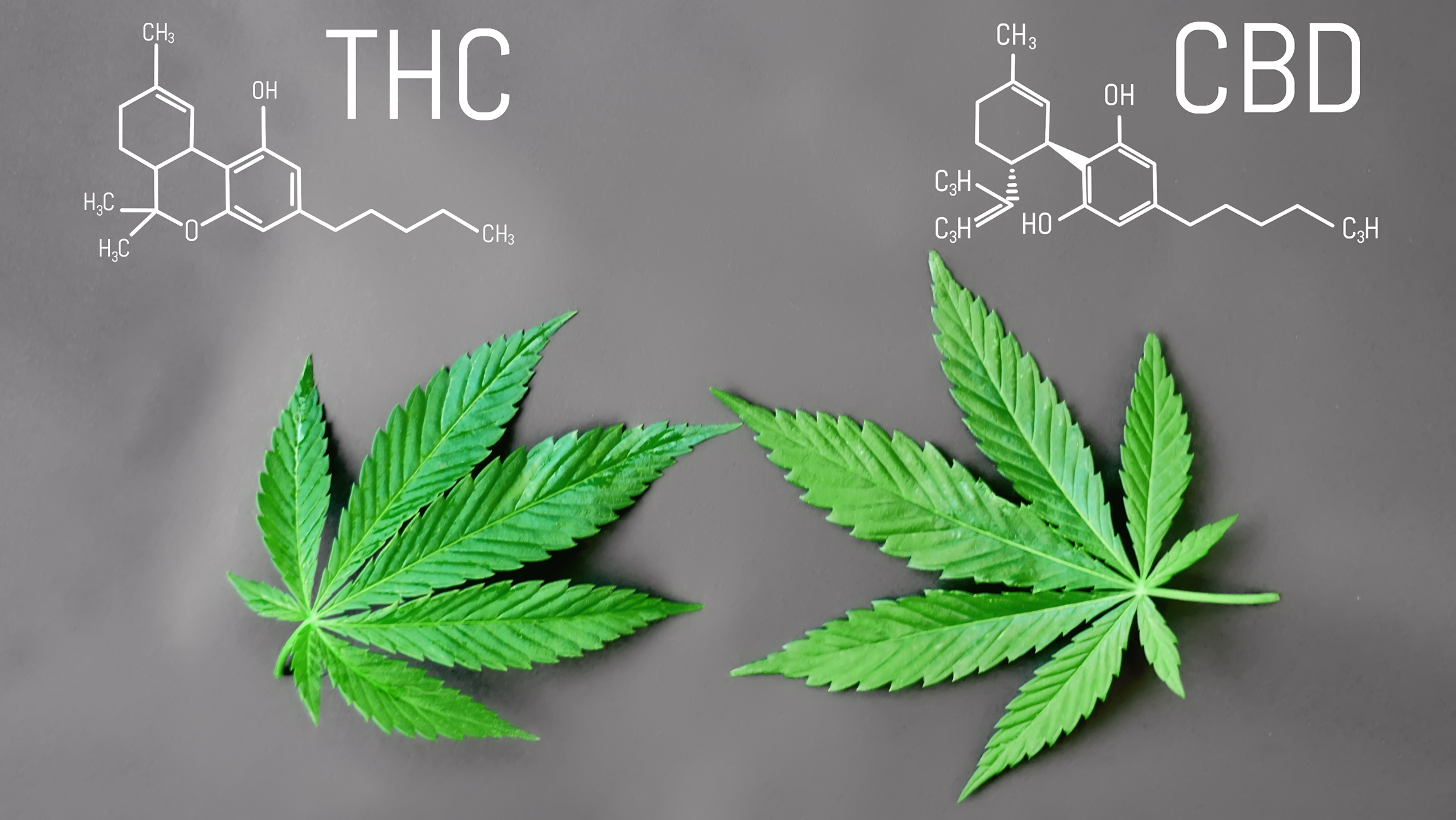 Μόριο THC και CBD