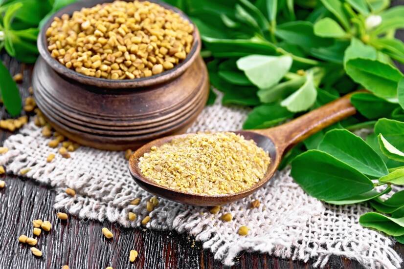 Τριγωνέλλα (fenugreek): ποιες είναι οι επιδράσεις της στην υγεία, τη λίμπιντο;