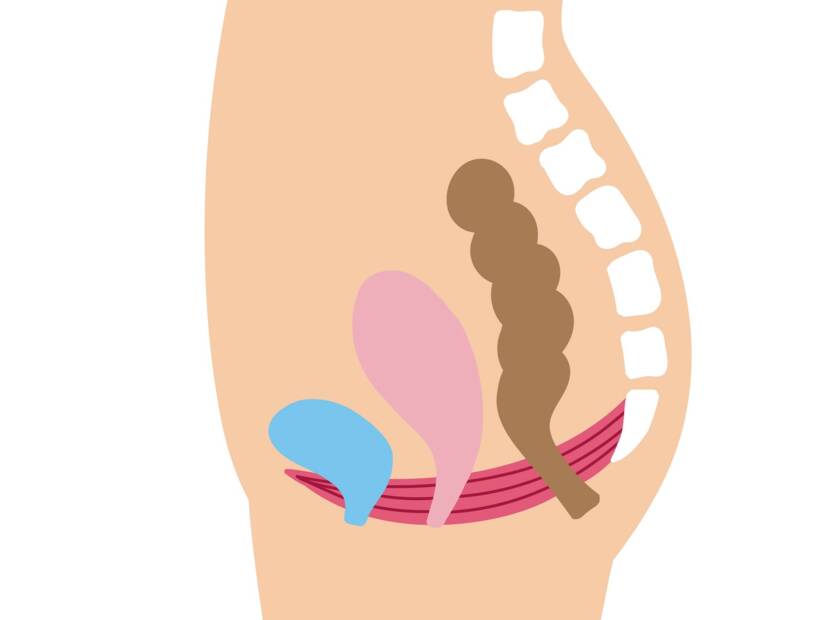 Πυελικό έδαφος: ποια είναι η λειτουργία και η σημασία του στις γυναίκες + Ασκήσεις για ενδυνάμωση και χαλάρωση