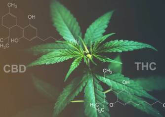 CBD έναντι THC: Γνωρίζετε τη διαφορά στις επιδράσεις και τις χρήσεις;